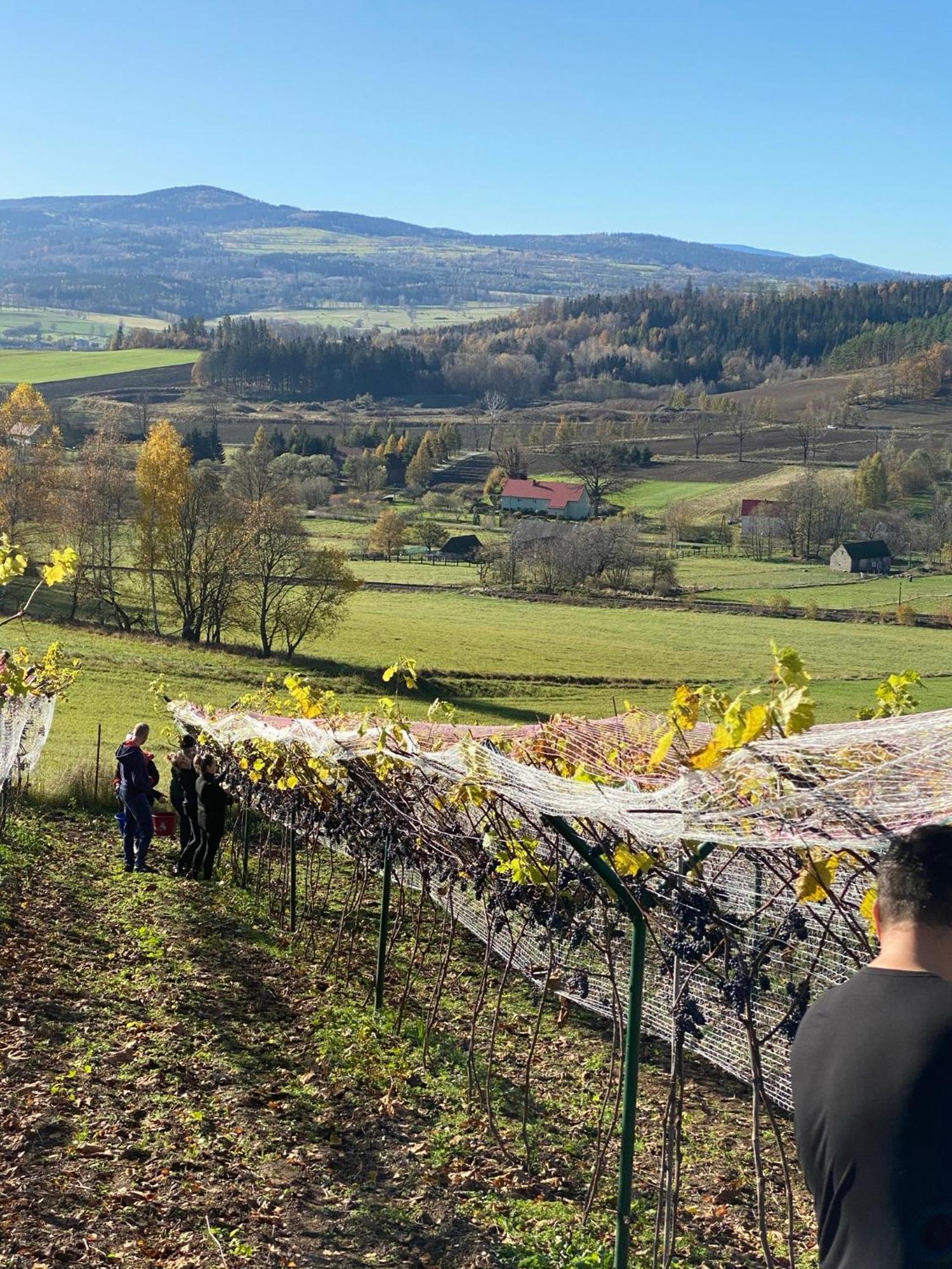 Agro-podkowka Farm stay *