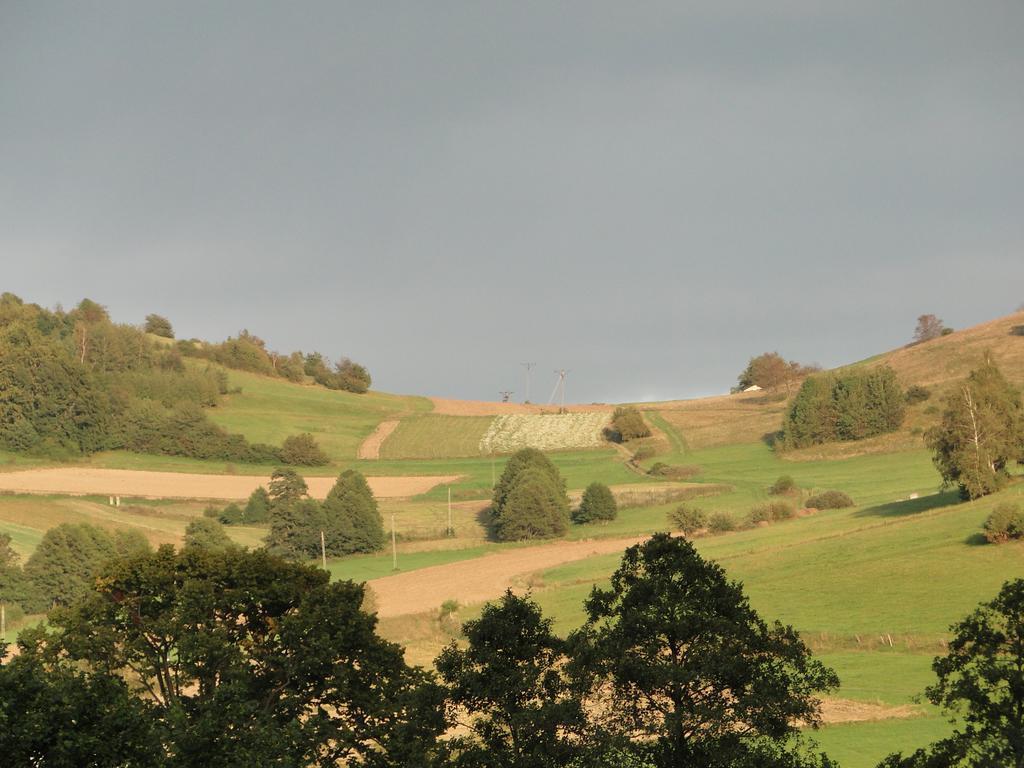 Farm stay Agro-podkowka *